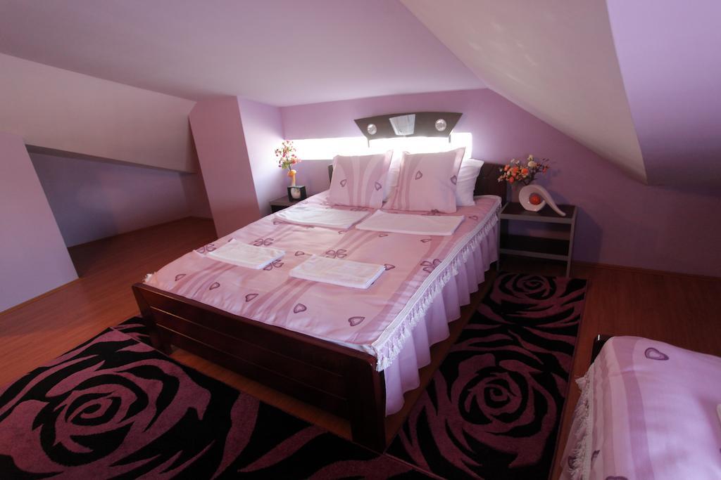 Villa Atina Stara Pazova Room photo